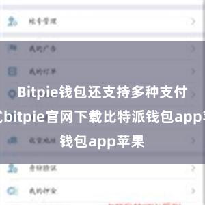 Bitpie钱包还支持多种支付方式bitpie官网下载比特派钱包app苹果